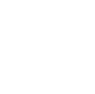Apega