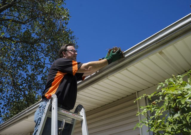 Worker Cleaning Gutters